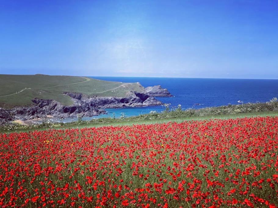 An Entire Fabulous Holiday Home - It'S All Yours! St Columb Major Esterno foto